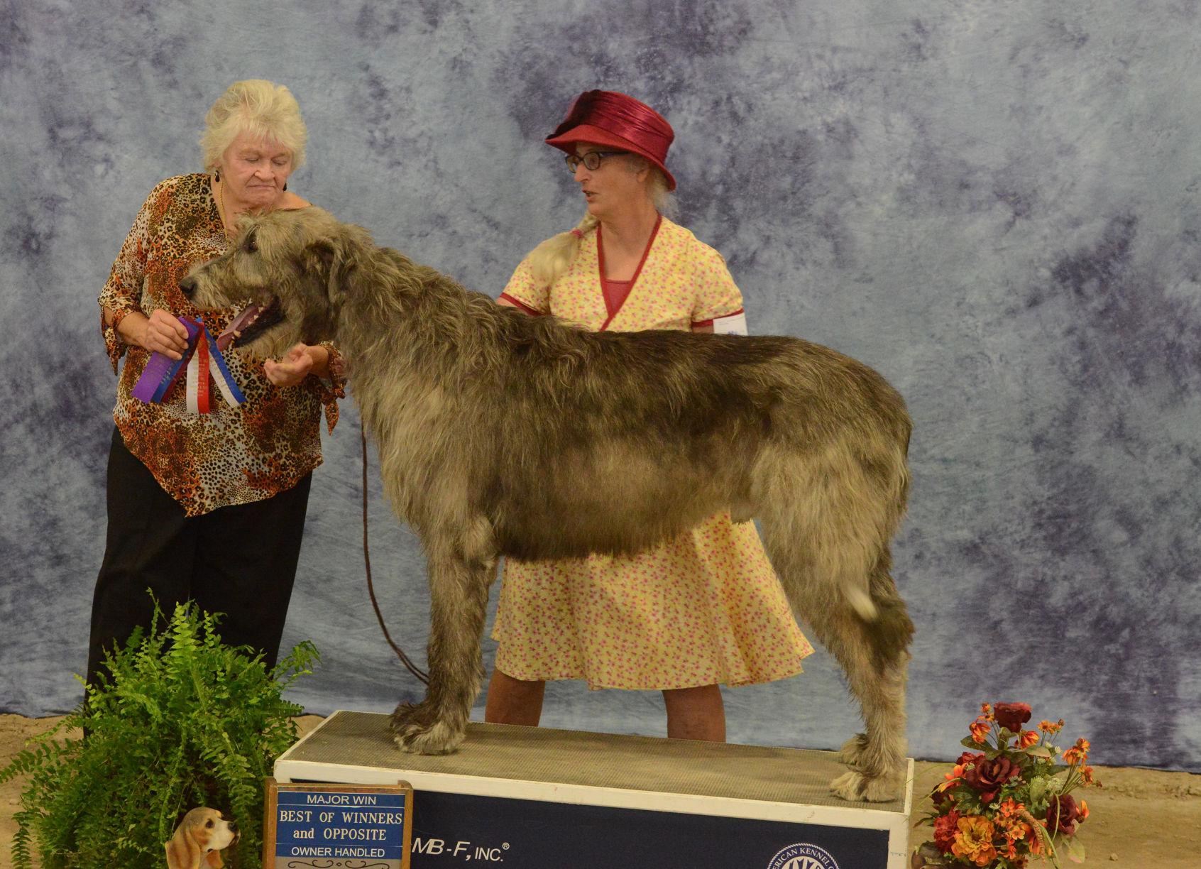Danville Kennel Club Breeder Show